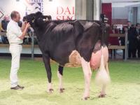 Ninnaoh EX94