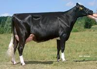 Diana VG87