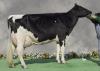 Irella VG88,Priscilla's mother