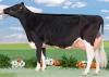 NINNAOH EX 91